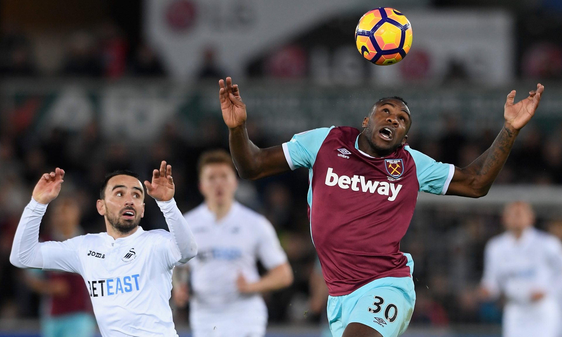 云南队的成 云南队的成